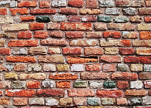 photography of red, white, and orange wall bricks